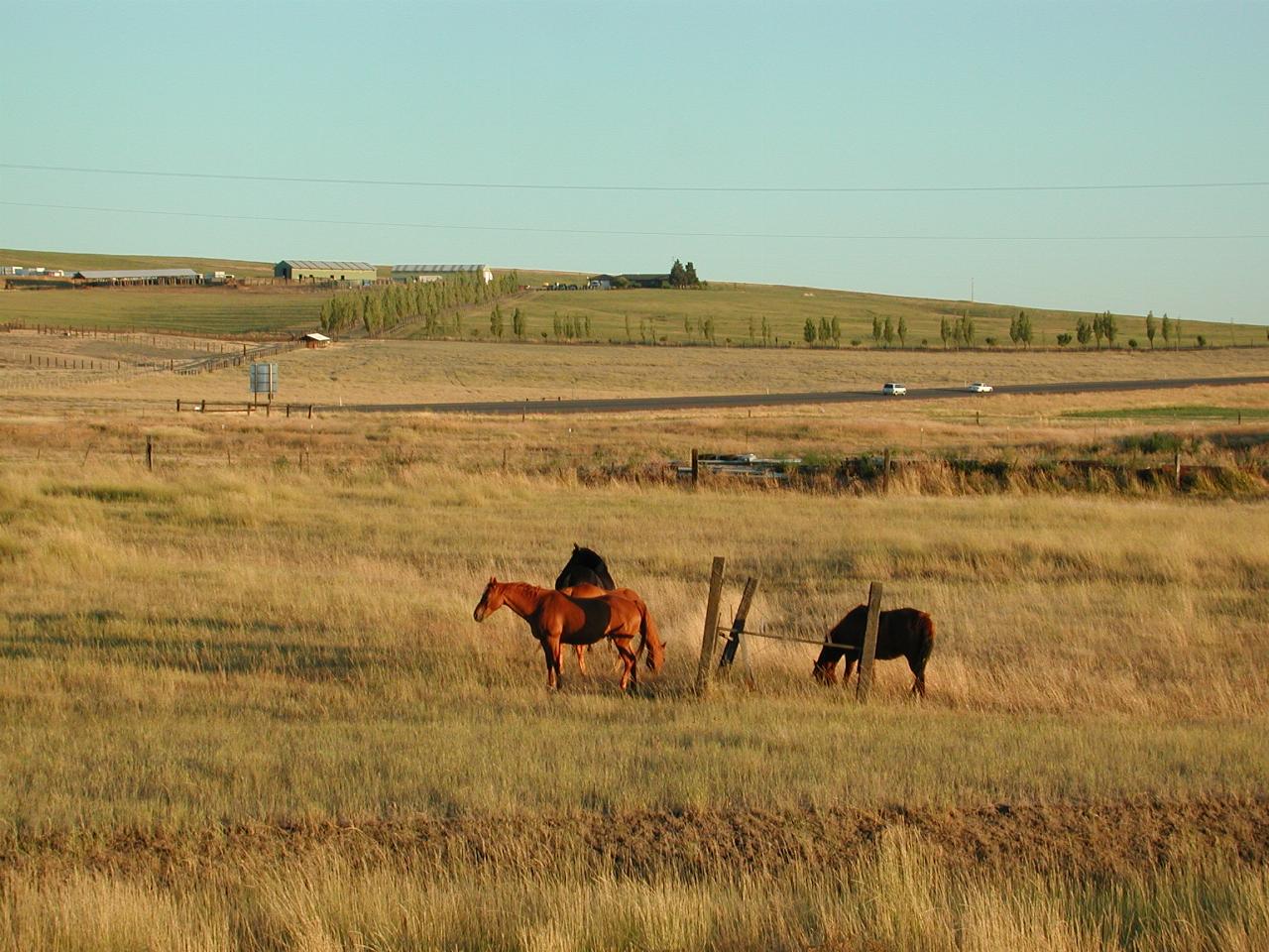 View from my motel room window in Goldendale, WA