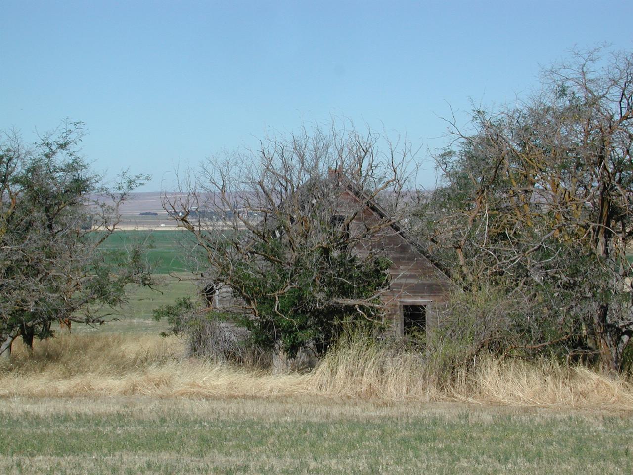 Old farm building, on US-97 south of Goldendale, WA