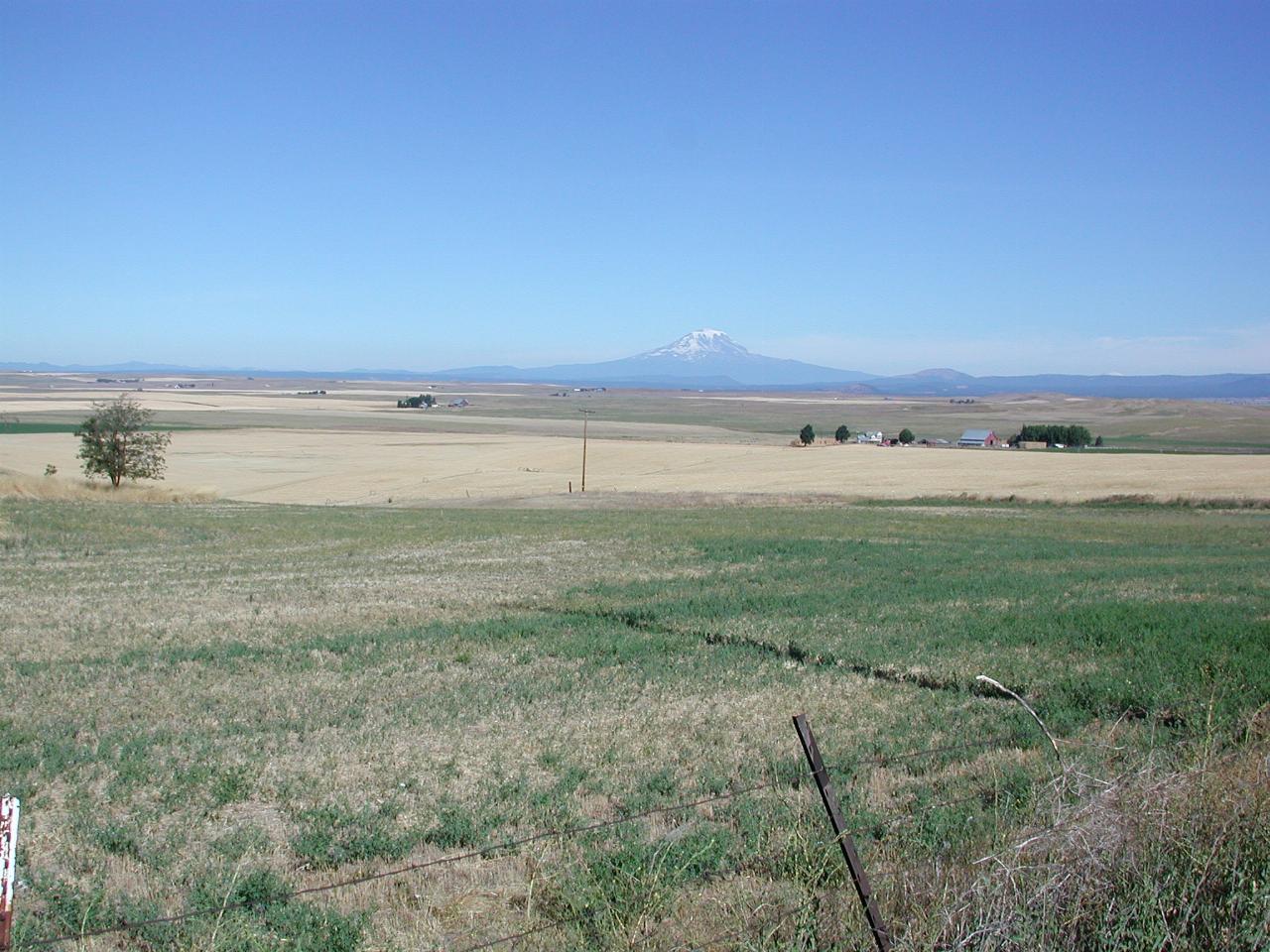 Pastoral scene with Mt. Adams in the background, south of Goldendale, WA on US-97