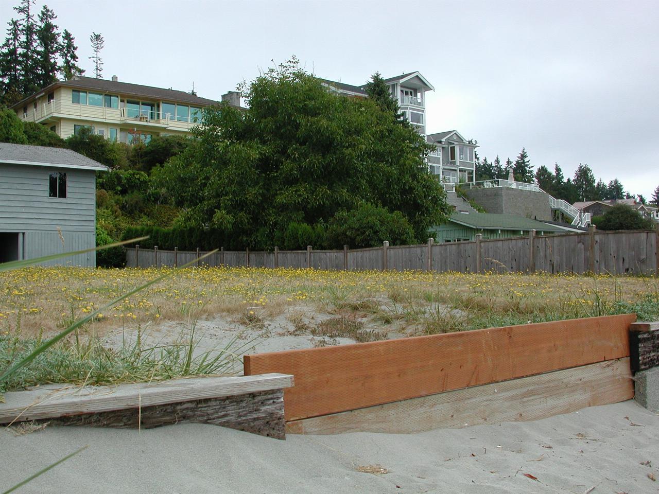 Wider view of field of weeds, and Steve Cathcart's home (?)