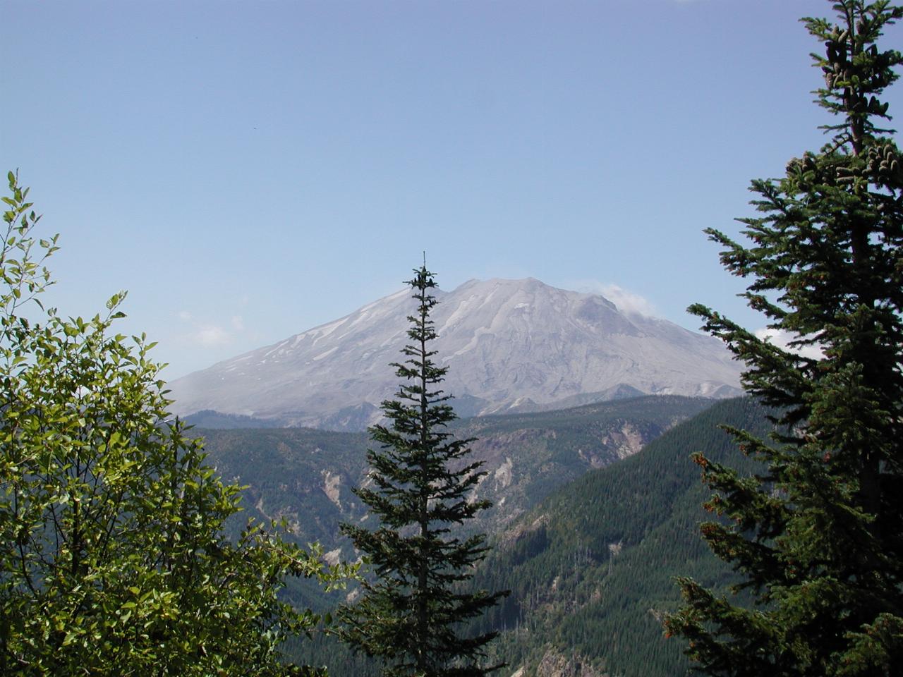 Mt. St. Helens from FR (Forest Road) 25, SE of mountain