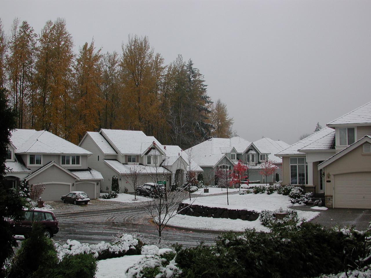 View from the front door after a light snow fall