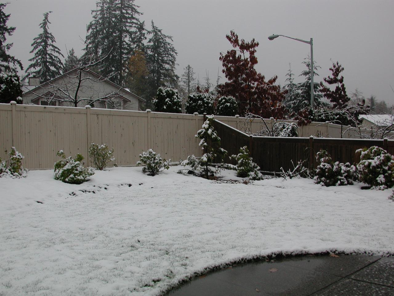 View of backyard in the snow