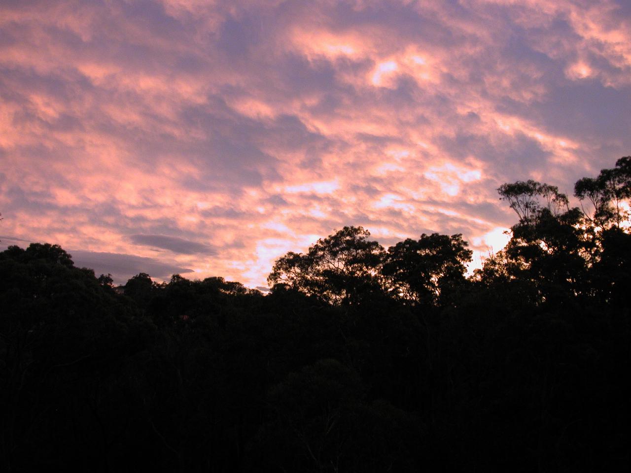 Illawong sunset, from Peter's deck