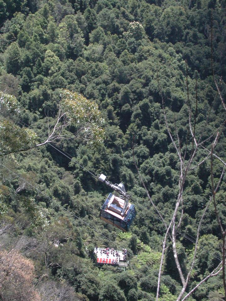 Scenic Railway and cable car seen from Eagle Hawk Lookout