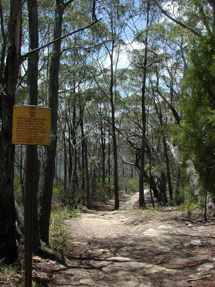 Route of Cox's Road from 1815 at Mt. York