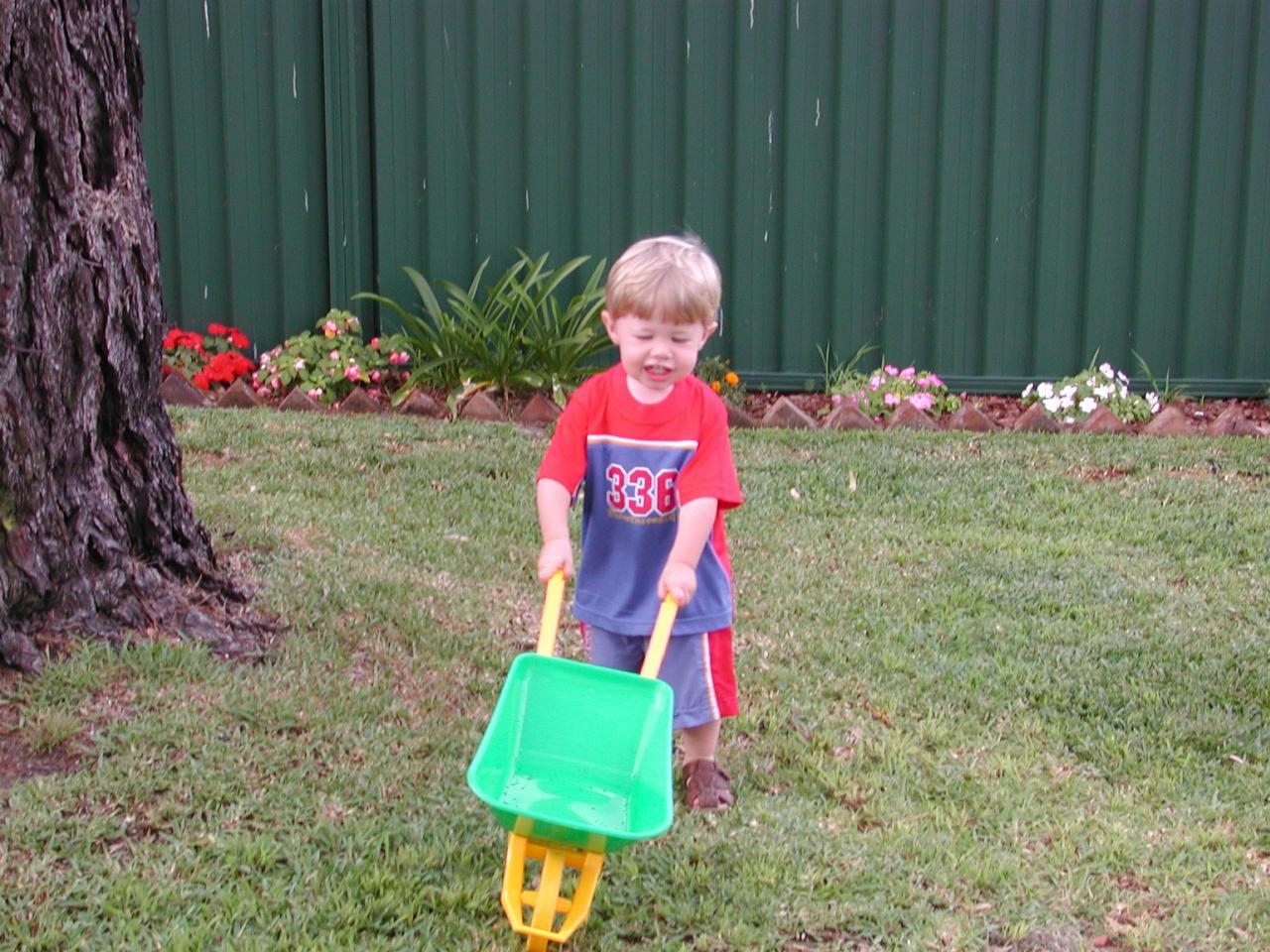 Jake and his wheelbarrow at home