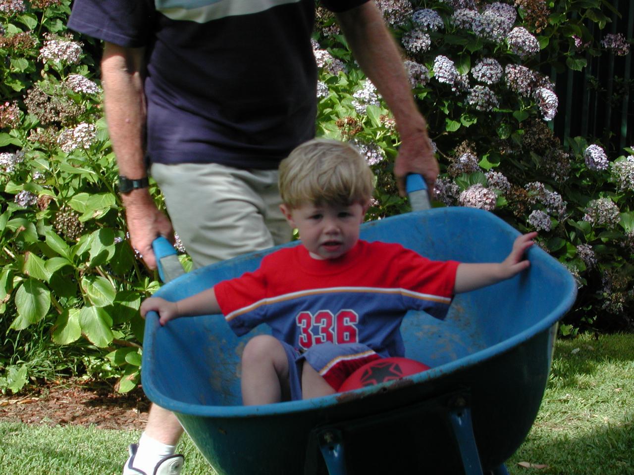 Peter giving Jake a ride in Cameron's wheelbarrow