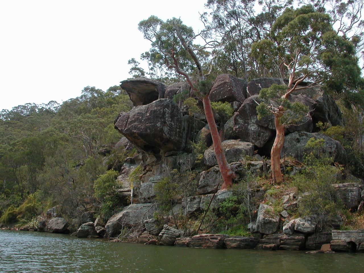 Interesting rock formation on the Woronora River