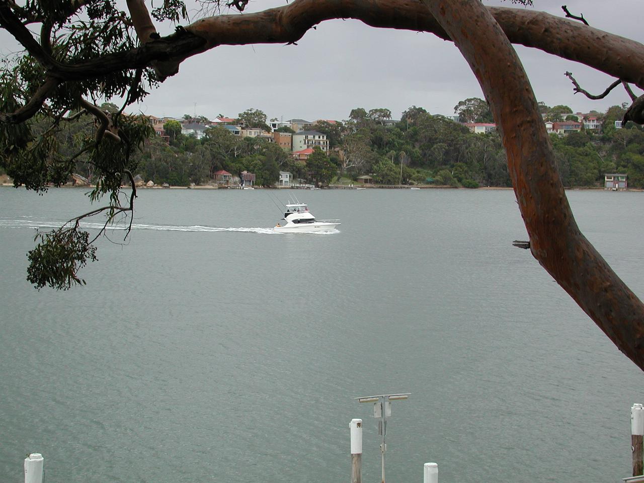 Nice boat passing on the Georges River past Kuhnert's apartments