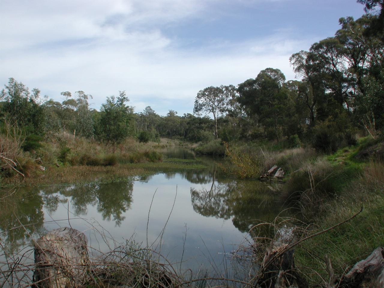 Wingecarribee River behind Berrima