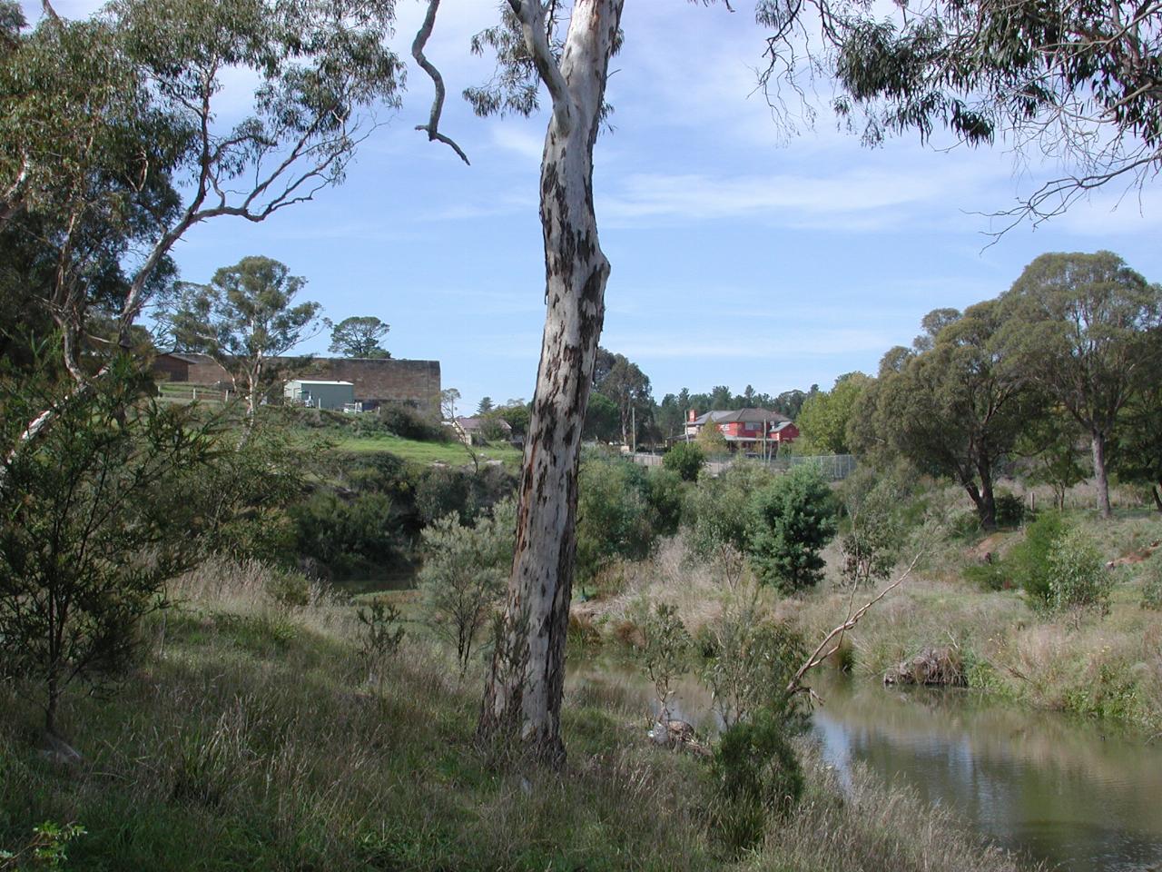 Wingecarribee River behind Berrima