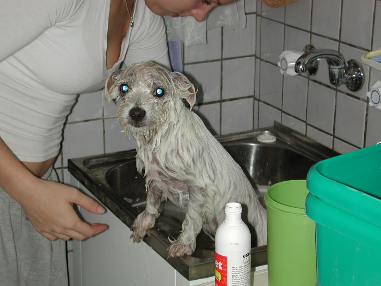 Olivia Fyfe washing 