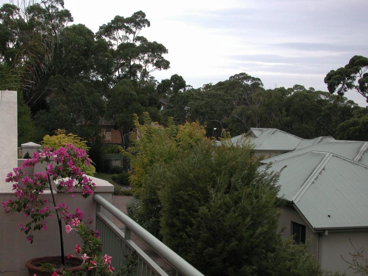 View from Peter's Illawong verandah