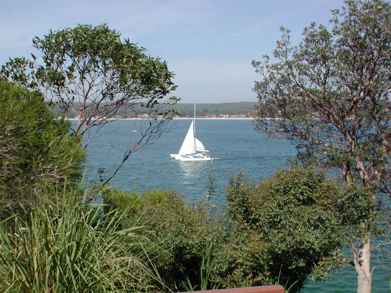 Nice day for a sail,  on Port Hacking