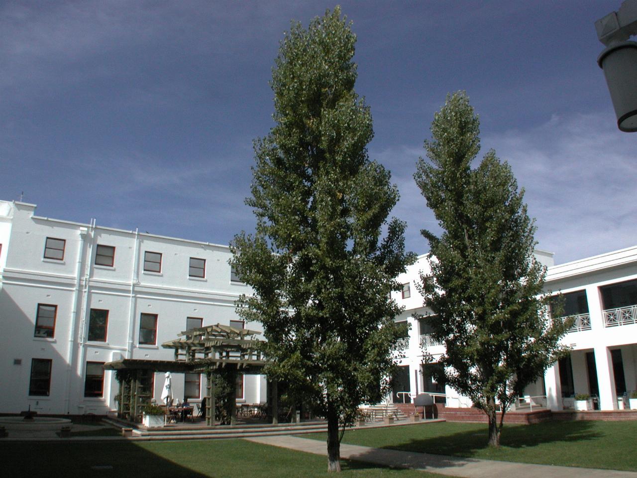 Courtyard in middle of Old Parliament House