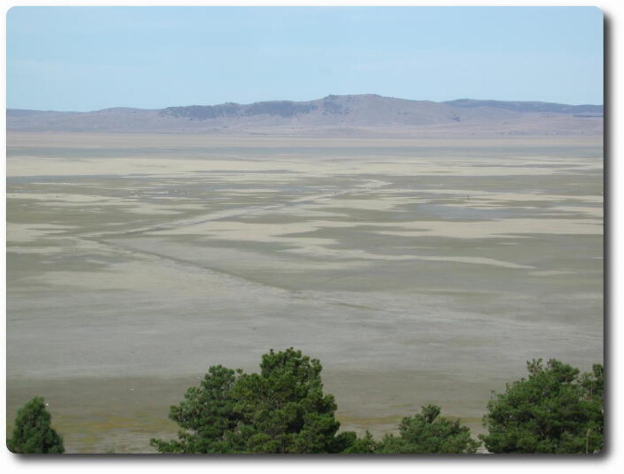 A very dry Lake George on the way to Canberra