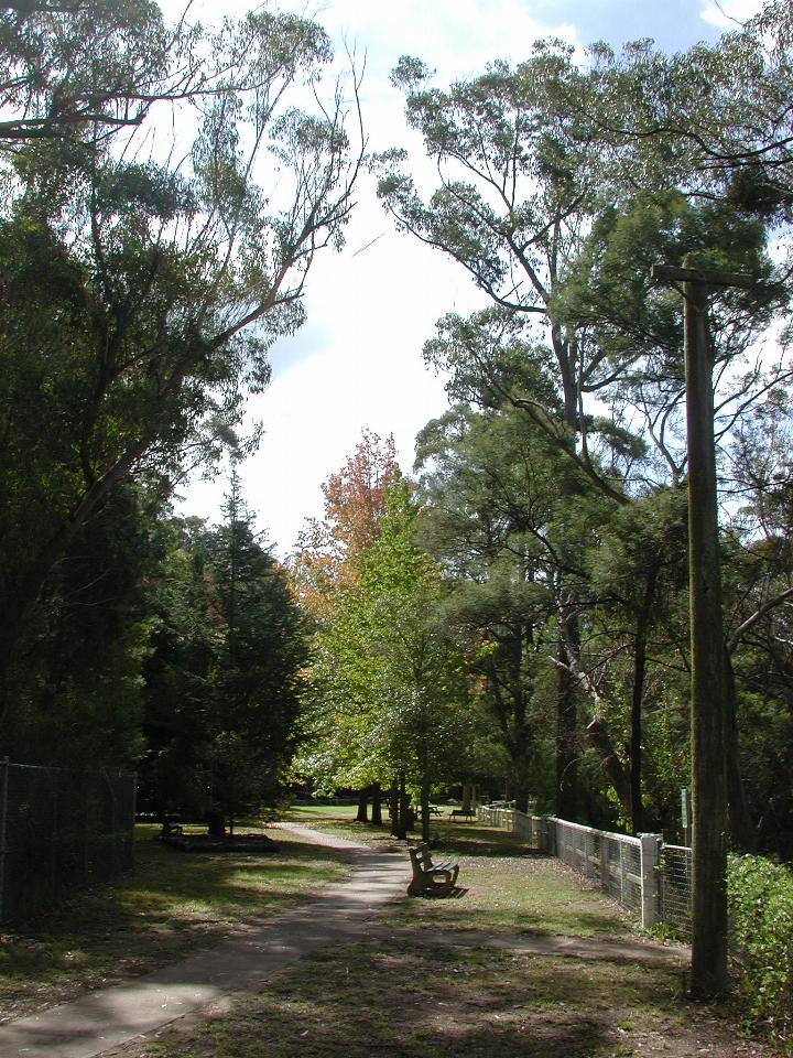 Gardens at Avon Dam, with some autumn tones