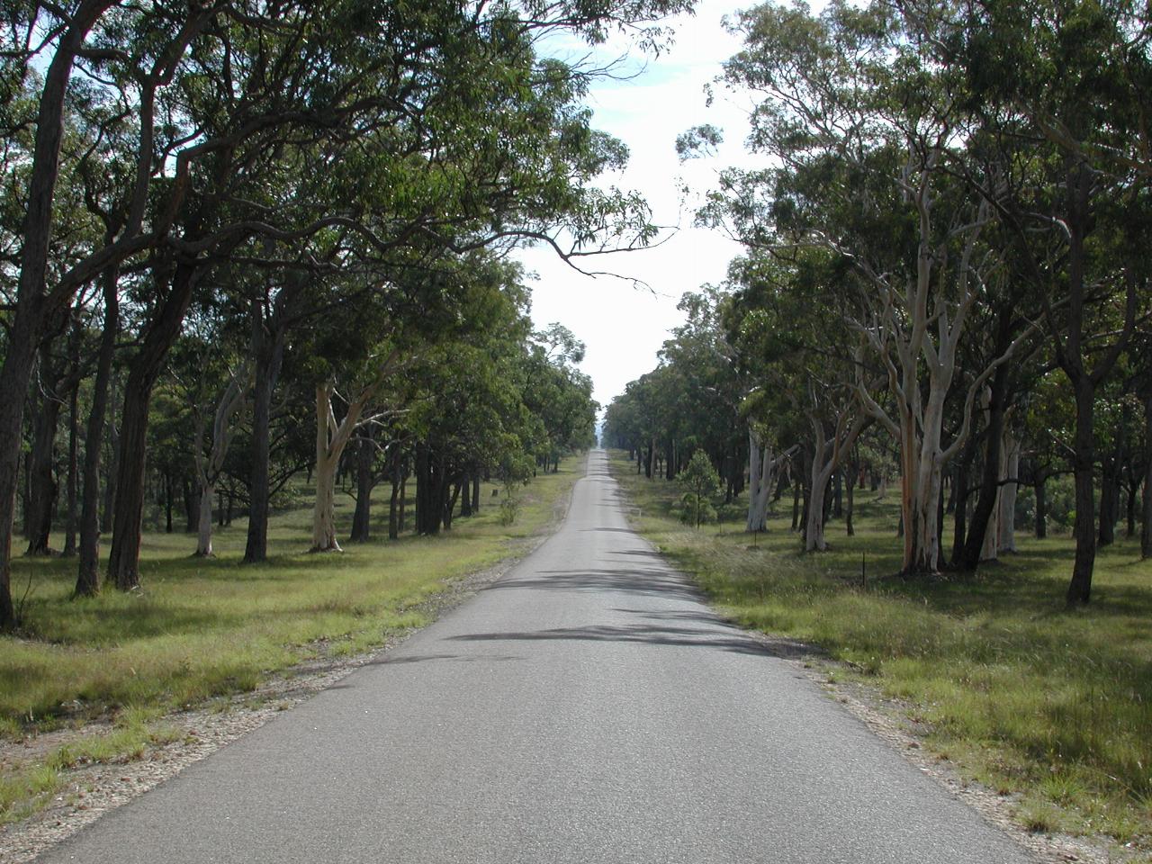 The road to Avon Dam