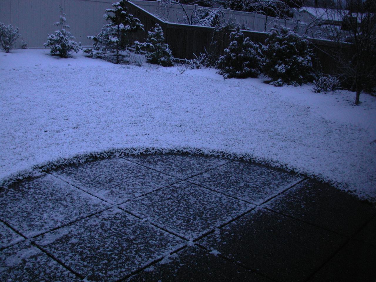 Back patio is not even covered, so not much of a snowfall