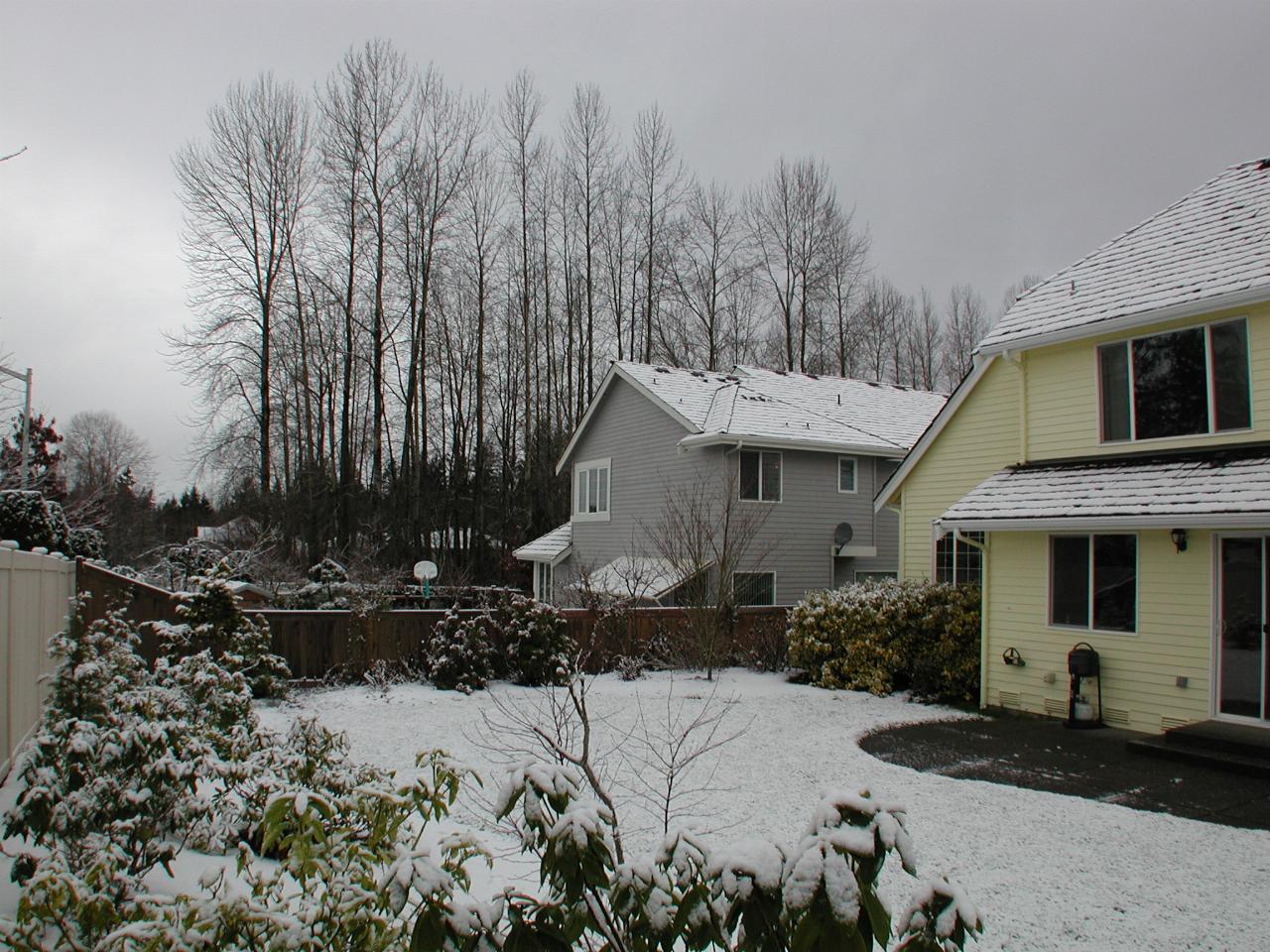 A snowy scene looking NW in the backyard