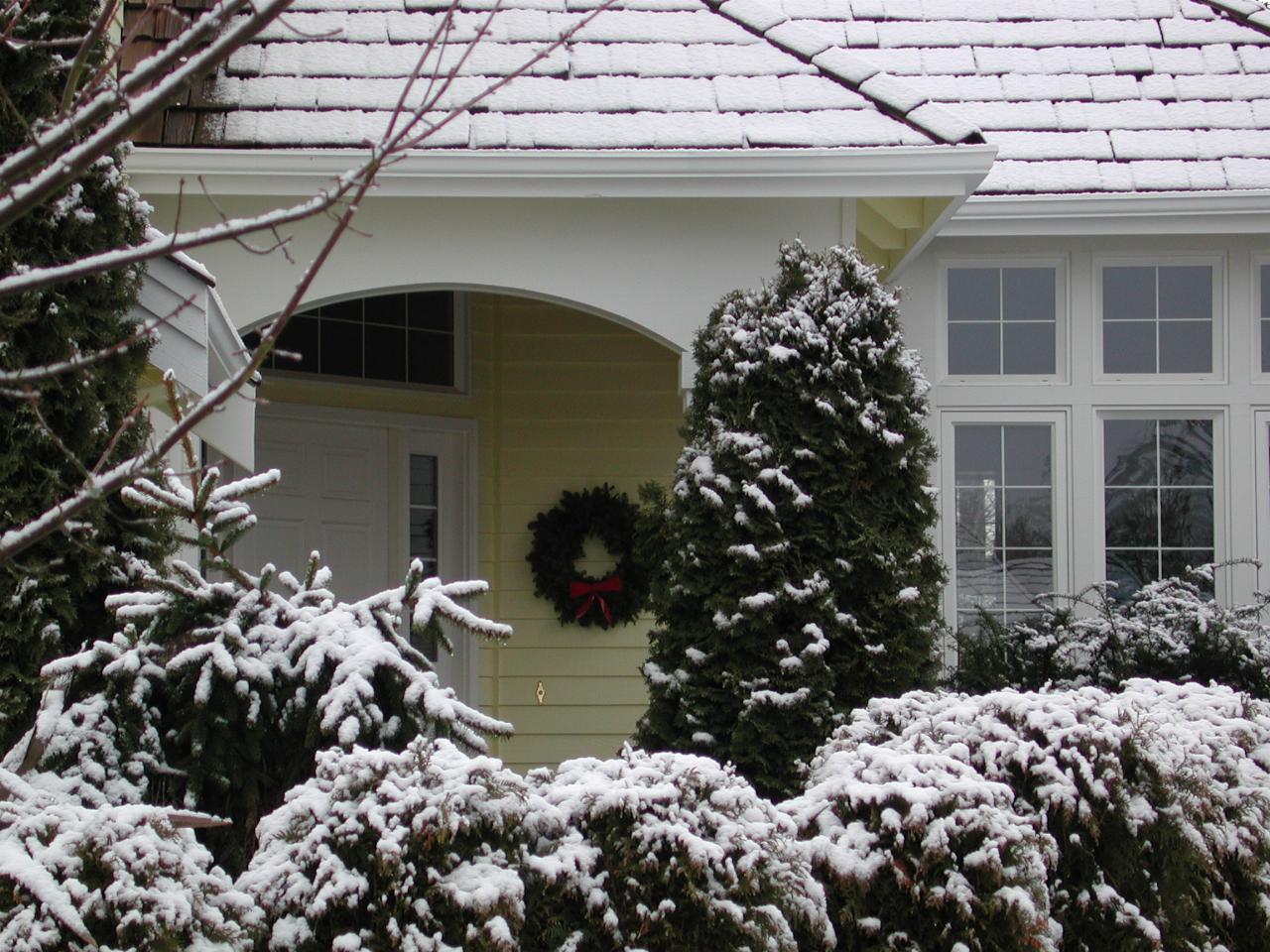 Close up of my front door with Christmas wreath and snowy trees and shrubs