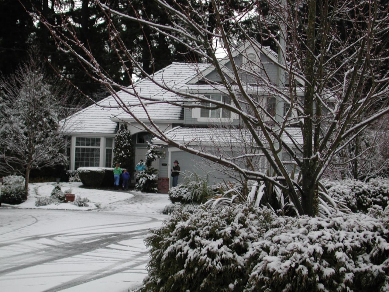 Neighbours out for fun and photos in the snow at the end of my front street in Kenmore