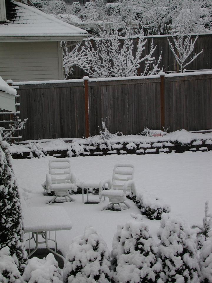 Deal's back yard and patio furniture with snow