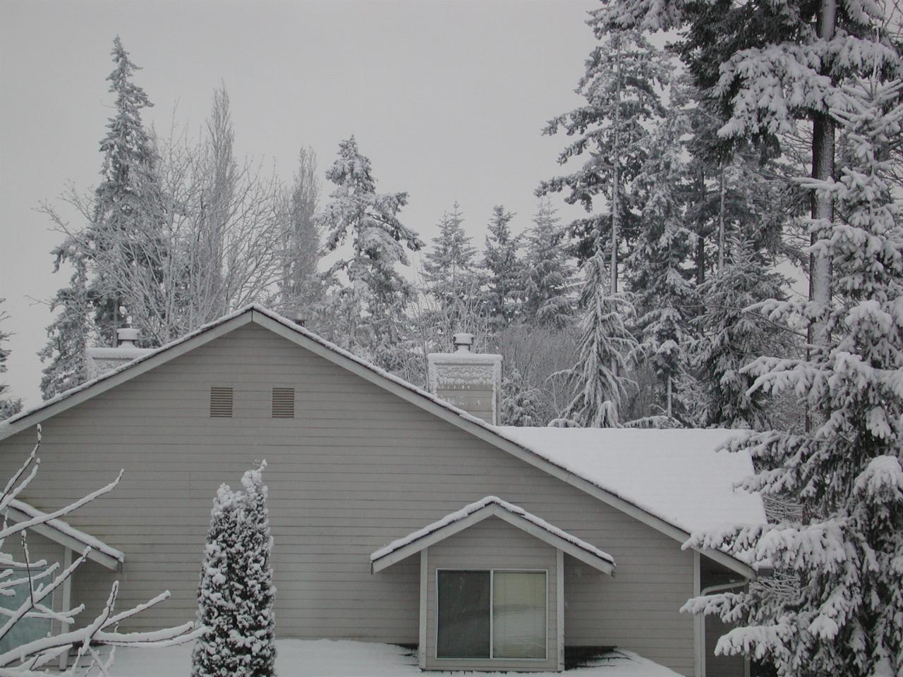 Snow sticking to chimney of house south of mine in Kenmore