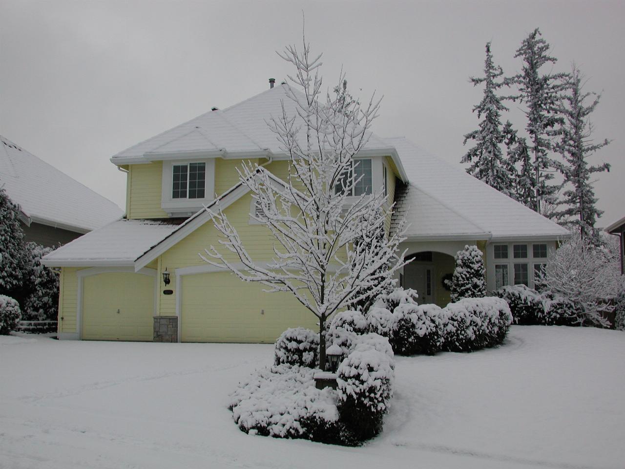 My home covered in snow