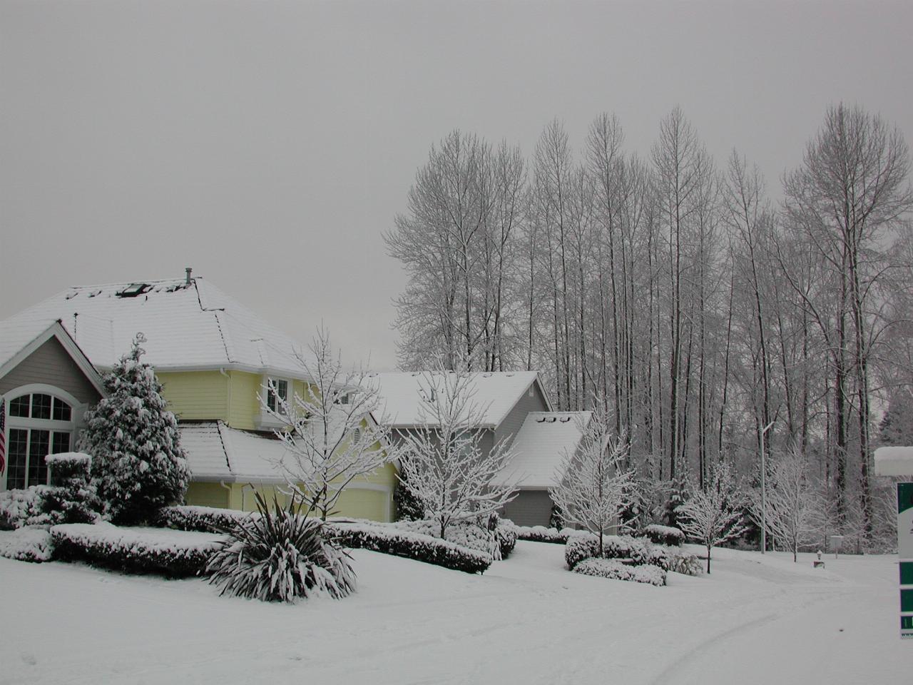 My house covered in snow, as seen from NE of it.