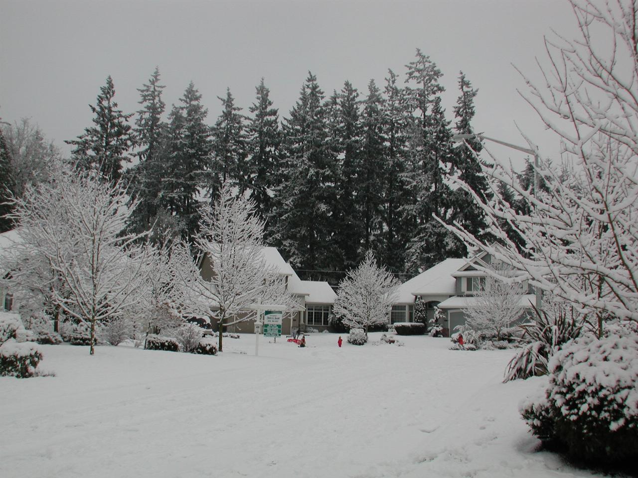 Looking NE from my driveway along NE 151st Court