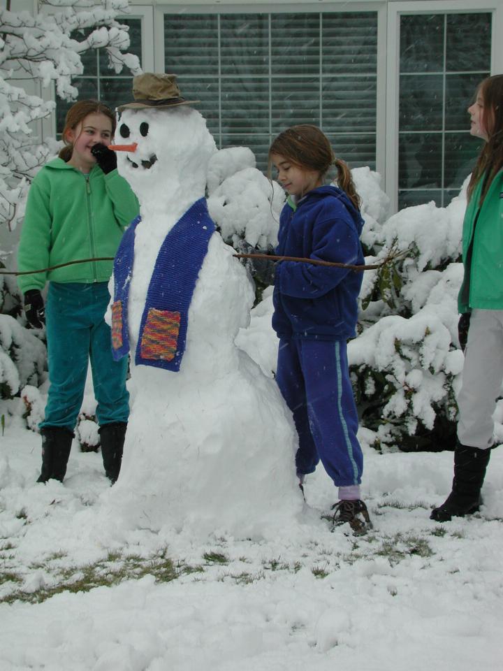 Neighbourhood kids build a good snowman