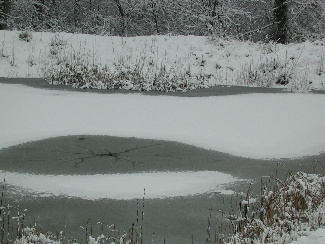 Water retention pond, covered in snow and ice