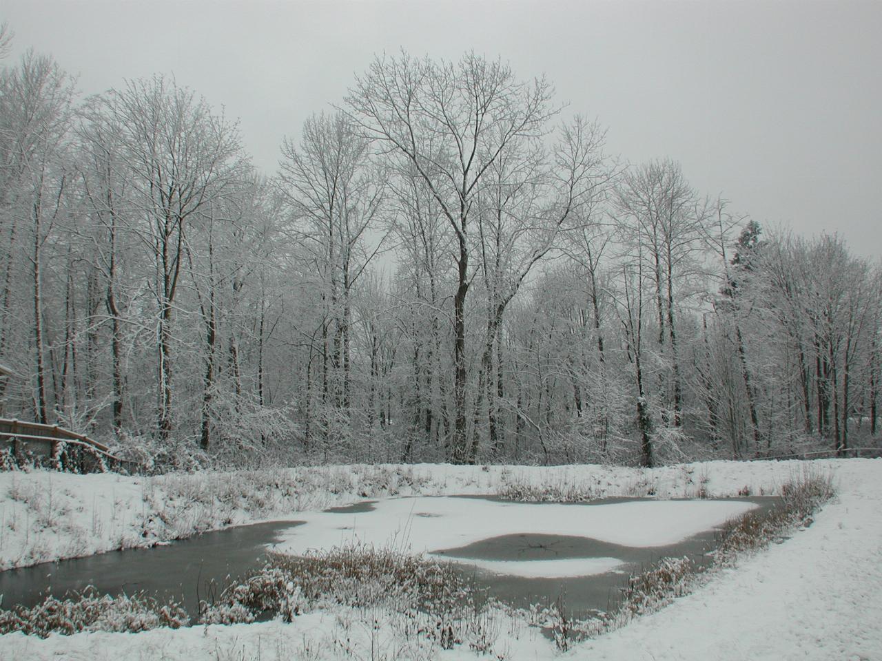 Water retention pond, covered in snow and ice