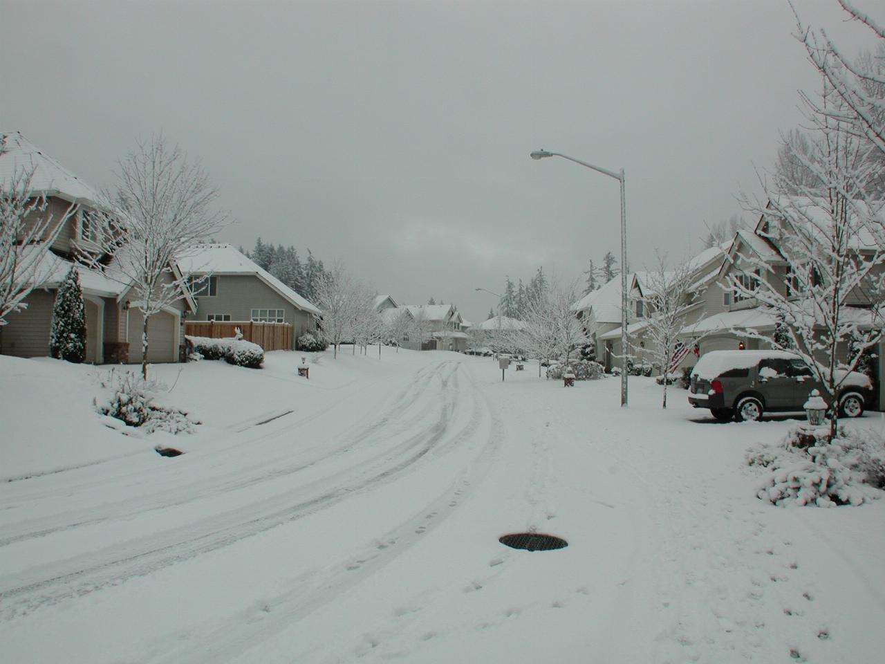 Looking south along NE 80th