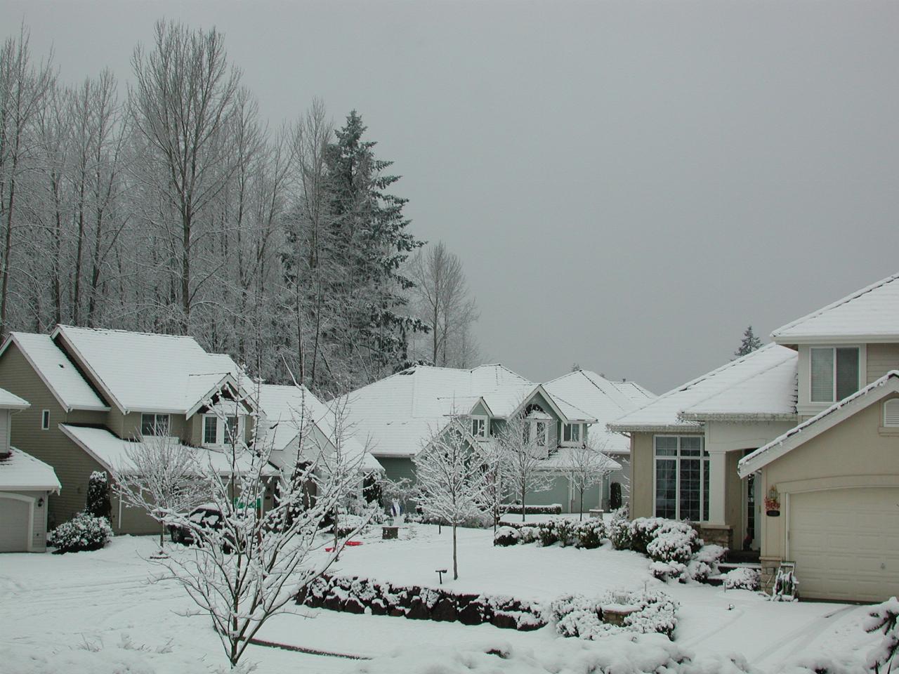 Looking from my front porch towards the snowman