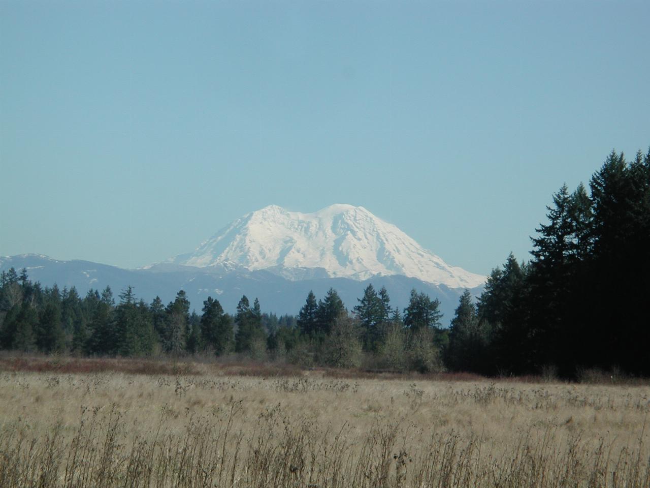 Mt. Rainier from SR 505 just east of Toledo on Layton Prairie