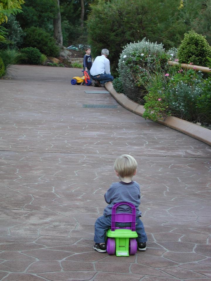 Flynn looking at Jake and Peter down the driveway