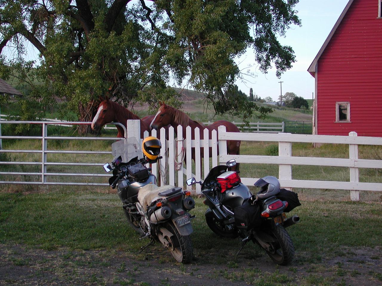 Horespower and Horse Power at Thompson's BBQ after Cts 2005 ride