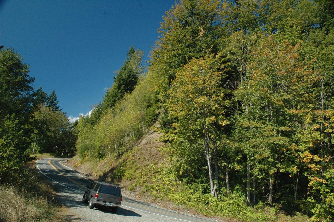 My Explorer on Burpee Hill Road, above Concrete, and showing leaves getting ready for Autumn