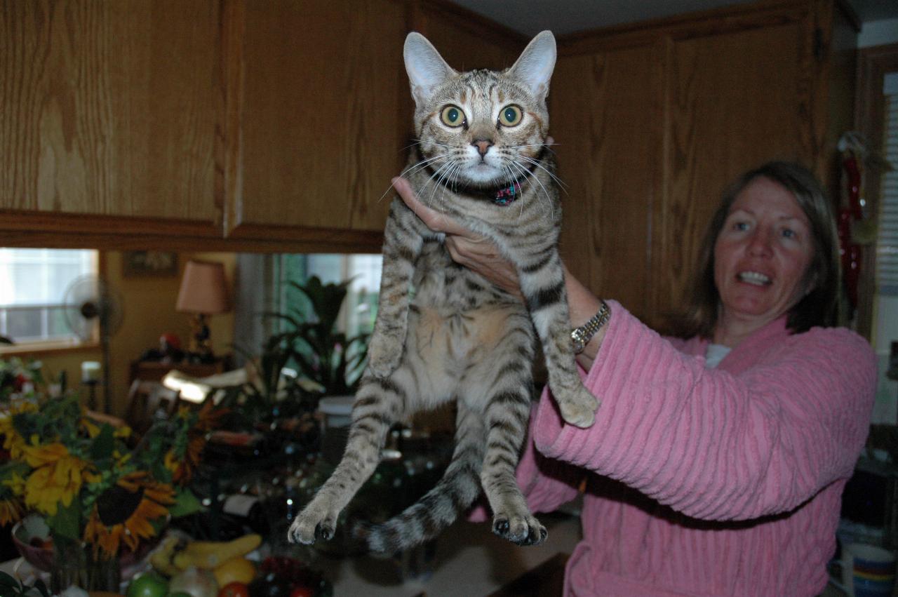 Marilyn holding her cat X4