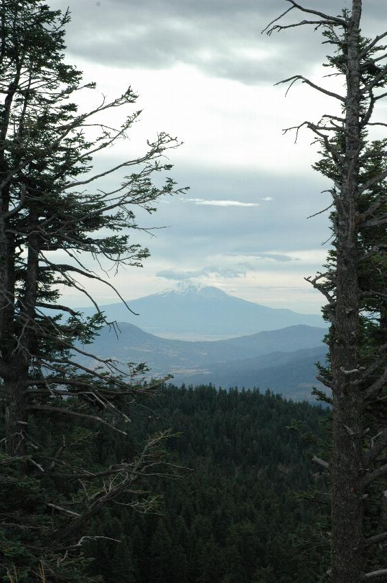 Mt. Shasta, as seen from Mt. Ashland