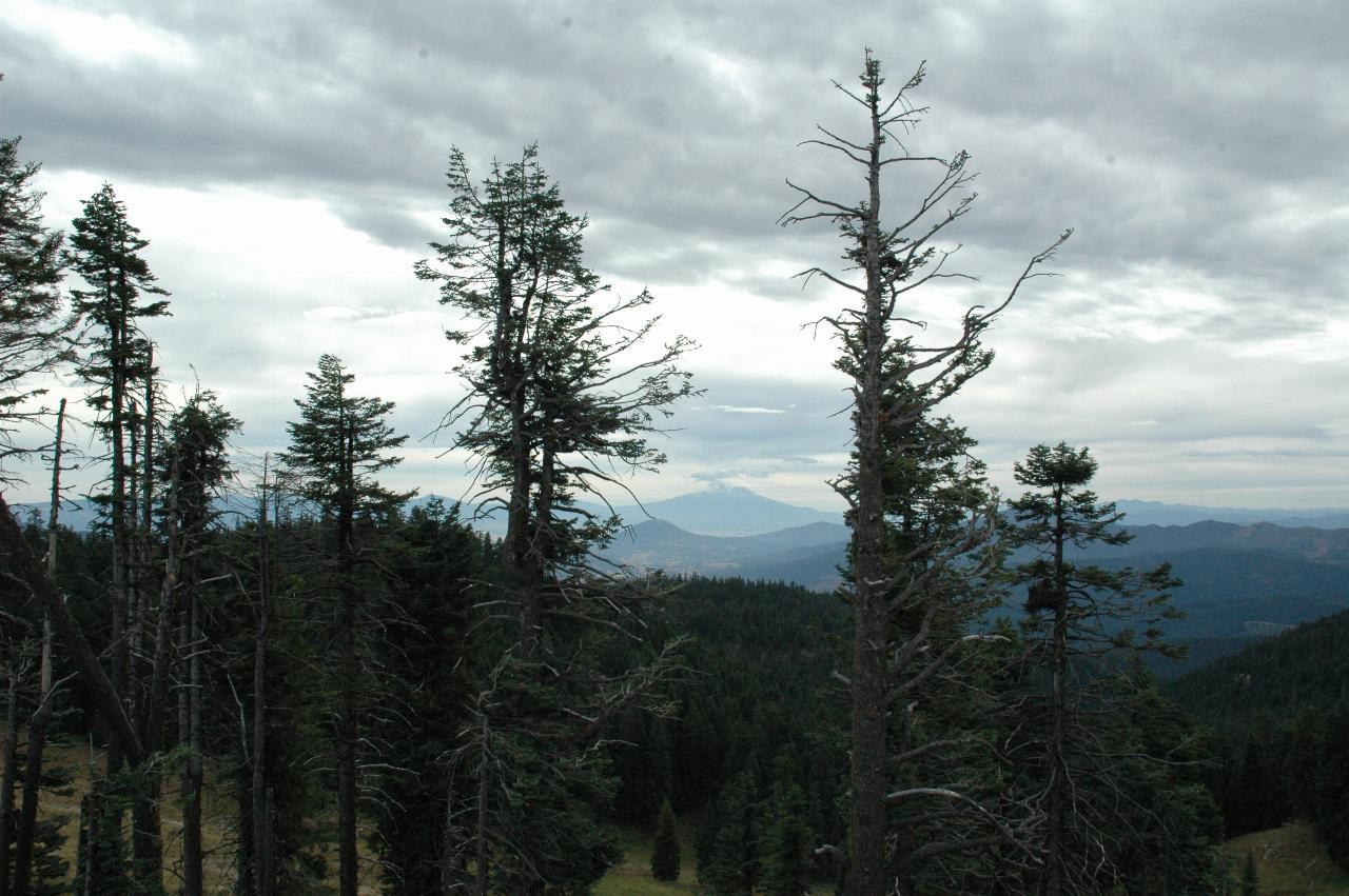 Mt. Shasta, as seen from Mt. Ashland