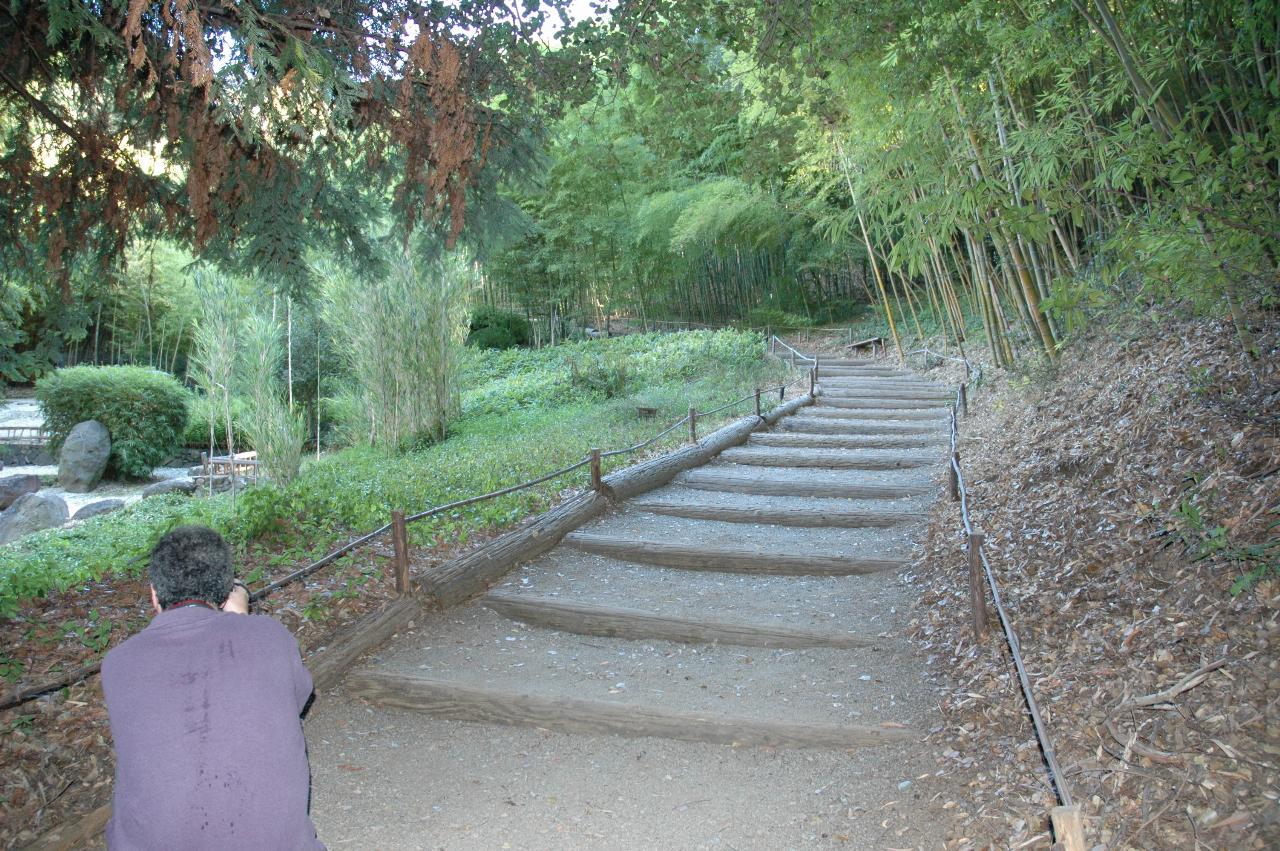 Jeff Newman composing an image at Hakone Gardens