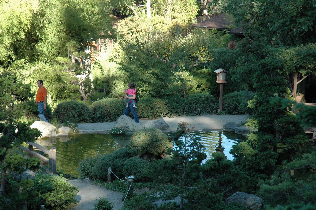 Koi Pond as seen from Upper House, Hakone Gardens