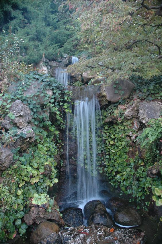 Waterfall into Koi Pond,  Hakone Gardens