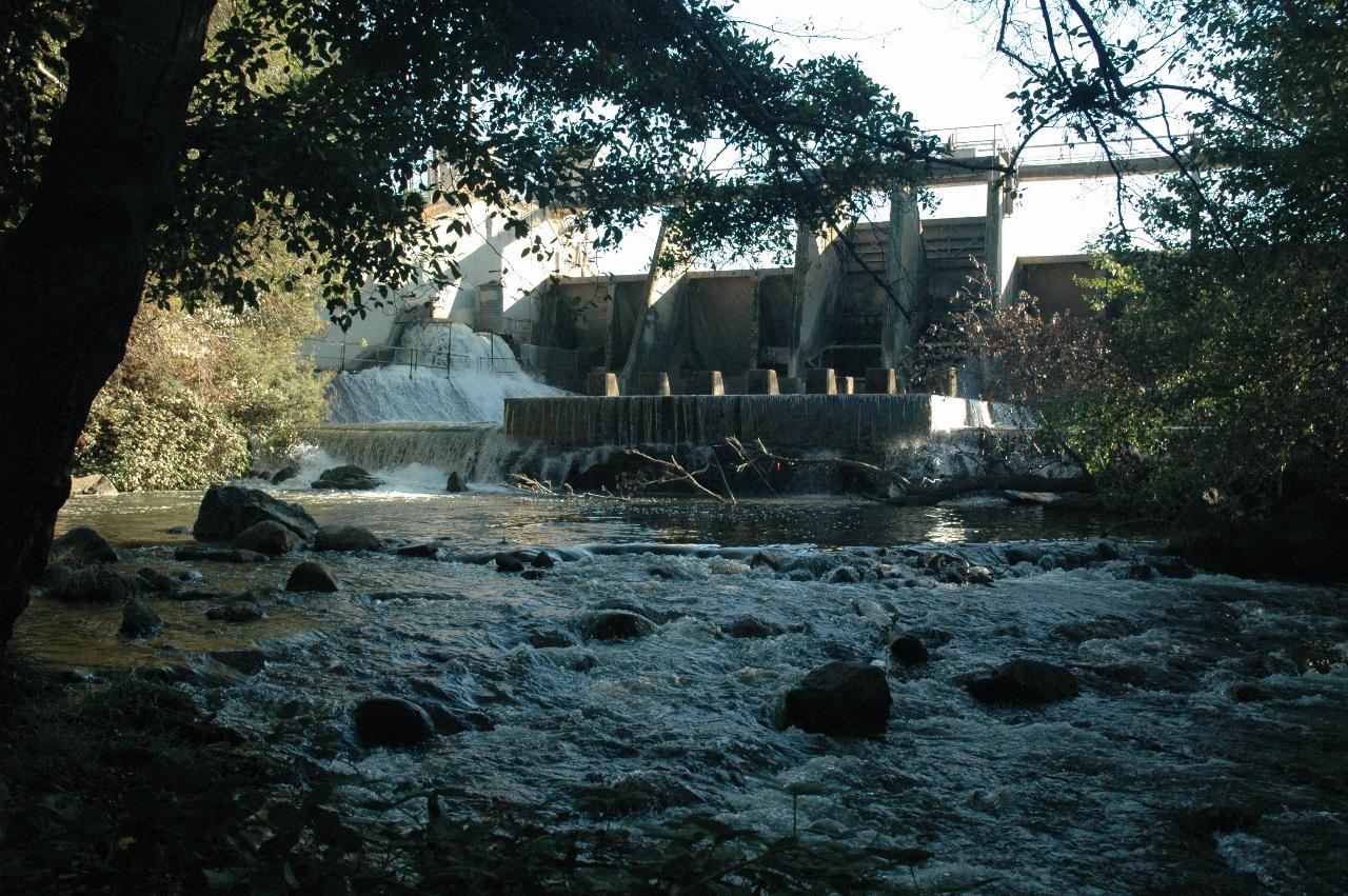 Water flowing out of Vasona Lake