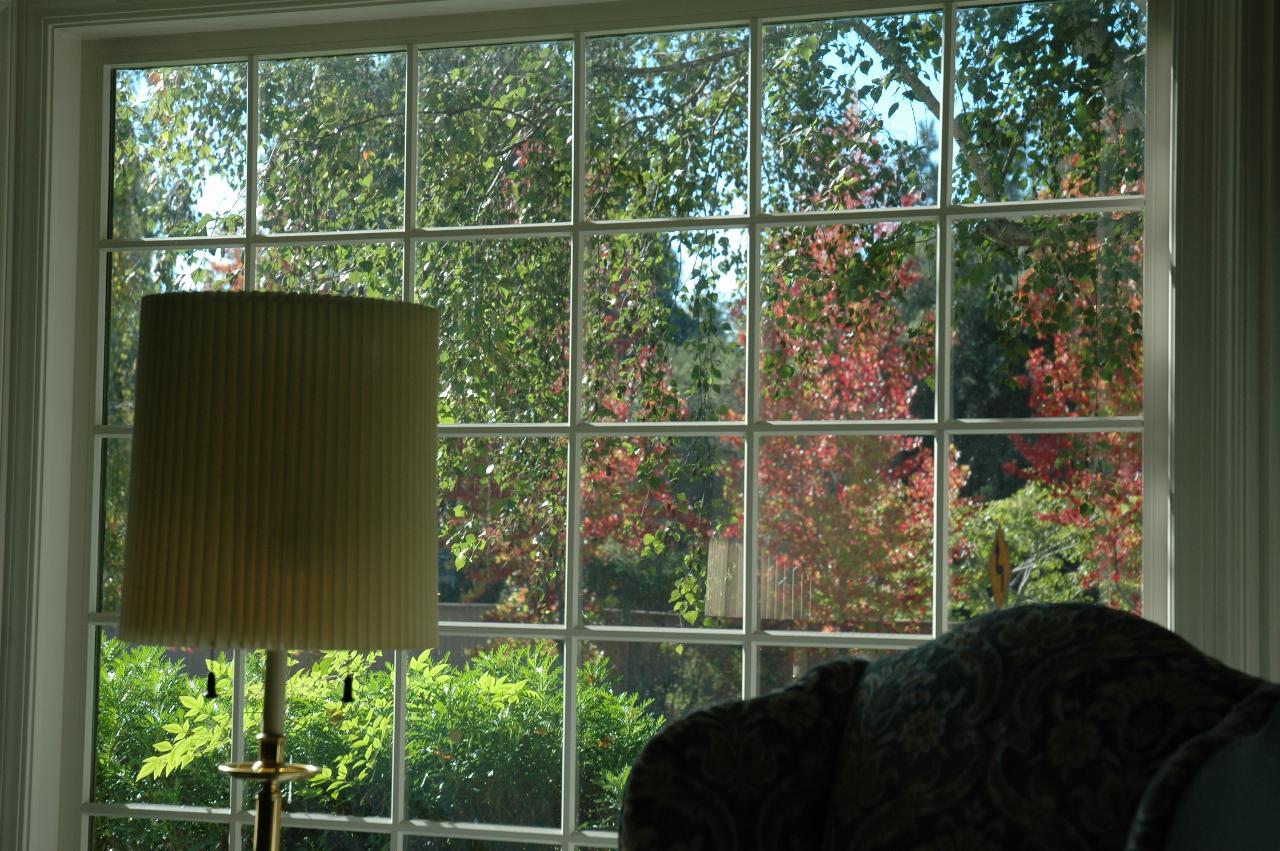 Jeff Newman's living room and view of autumn colours outside