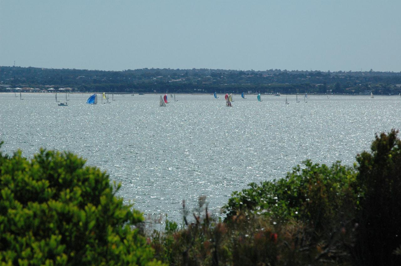 Sunday afternoon race on Botany Bay, as seen from Port Botany